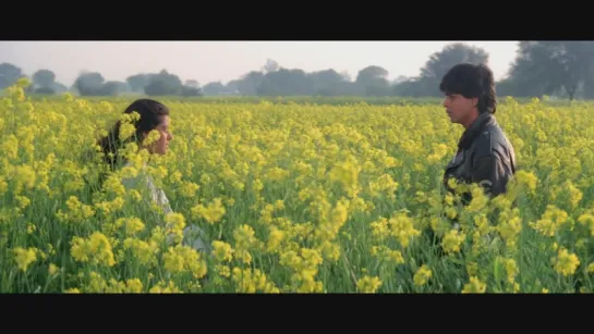 Dilwale Dulhania Le Jayenge - Tujhe Dekha To