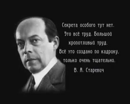 Сборник "Раннее русское кино". Режисер Владислав Старевич