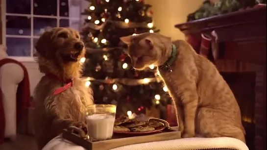 Three Pets White Christmas      ..