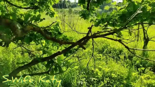 Трахнул замужнюю сучку раком, на природе, в лесу около дерева