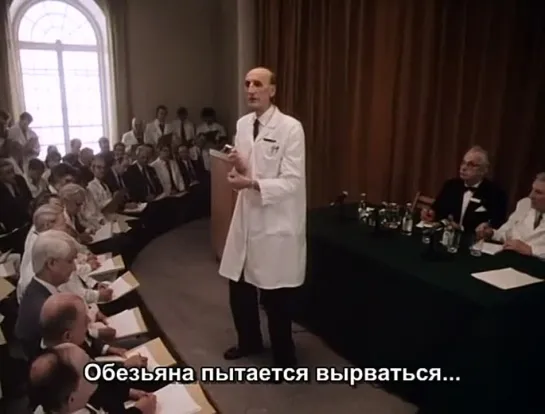 Что-то происходит (1987) Рой Андерссон