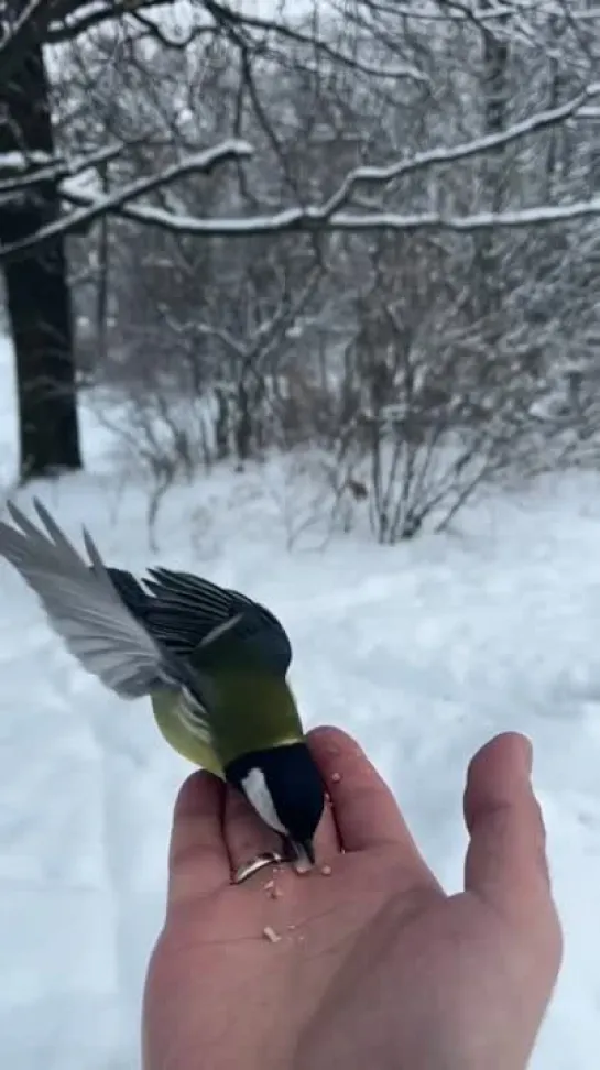 Видео от Телеканал «Загородный»