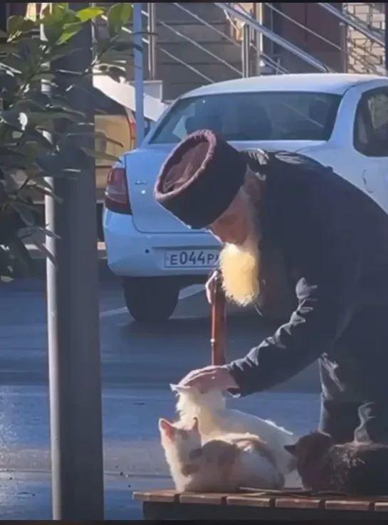 Видео от Эмиля Велиева