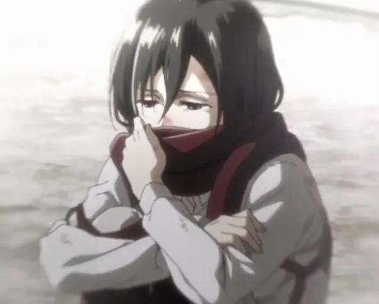 ▹ attack on titan; mikasa