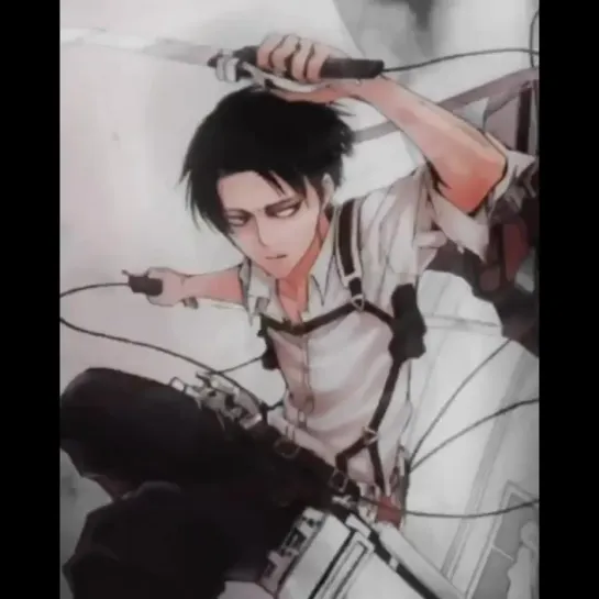 ▹ attack on titan; levi ackerman