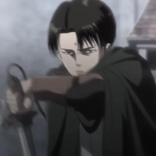 ▹ attack on titan; levi ackerman