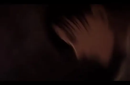 attack on titan vine