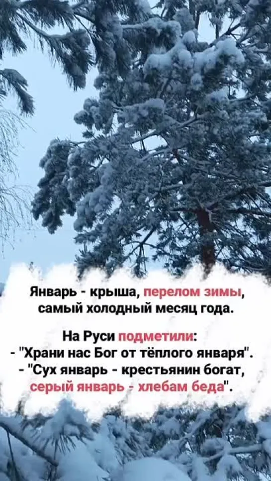 Видео от Нам поможет Солнце