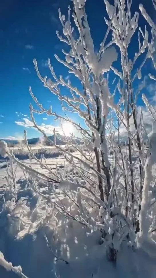 Видео от Нам поможет Солнце