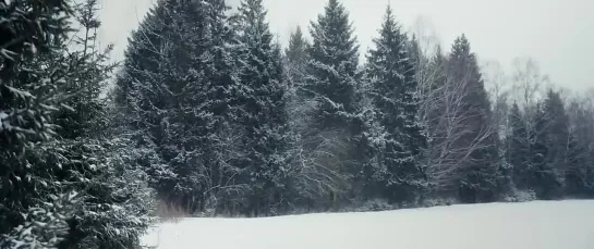 Видео от Нам поможет Солнце