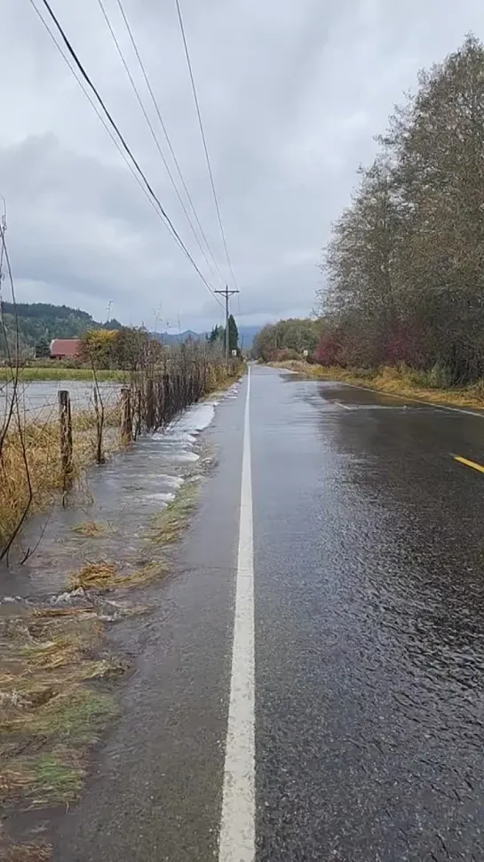 ВИДЕО ПАПКА (510)