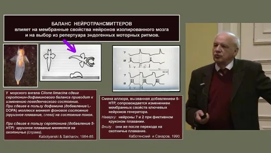 Д.А.Сахаров. Долгое прощание с рефлекторной доктриной