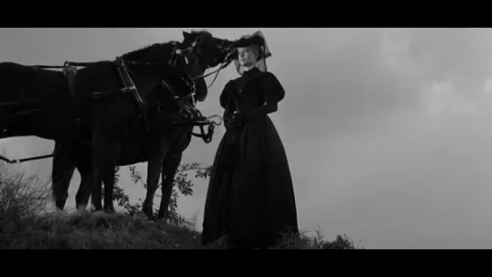 Forty Guns // Сорок ружей (1957) Сэмюэл Фуллер