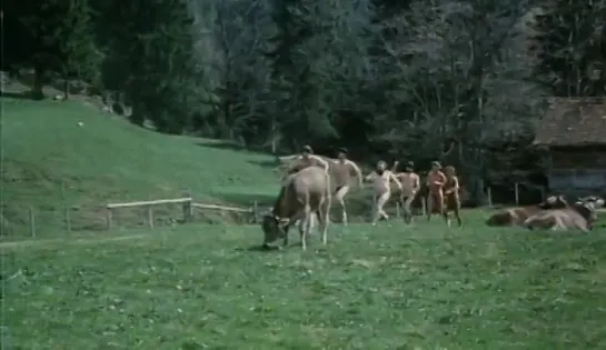 Sechs Schwedinnen auf der Alm