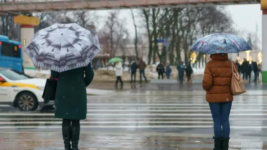 Оттепель в Москве продлится до конца недели. Воздух прогрелся до +1. Погода  в СНГ