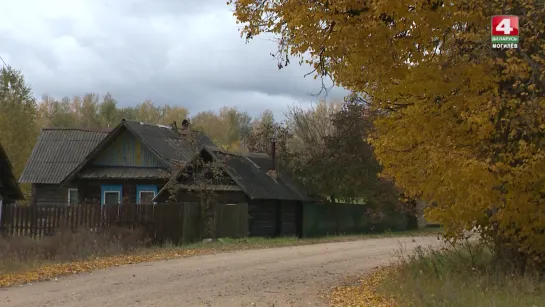 Берёзовка, Кличевский район. История с географией