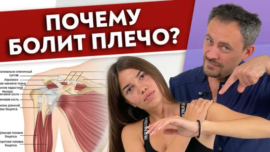 Диагностика плеча и плечевого сустава. Что делать, если болит ПЛЕЧО?