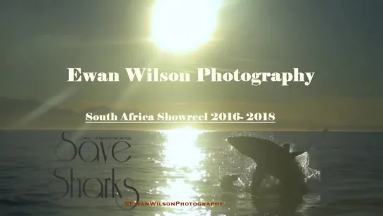 Ewan Wilson Photography - South Africa Showreel 2016- 2018 (Акулы SHARKWATER)