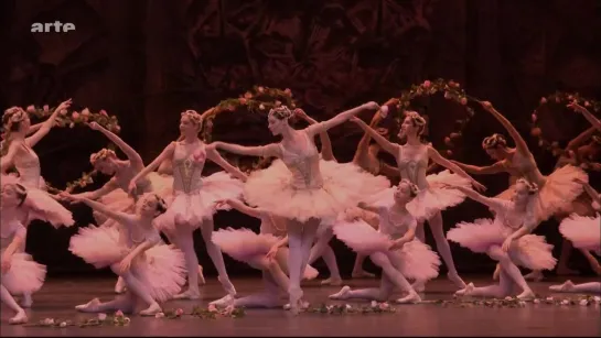 &Le Corsaire - ballet (Wien Opera Ballet, 2016)