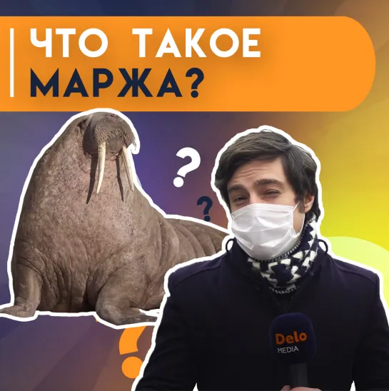 Опрос: маржа — что это?