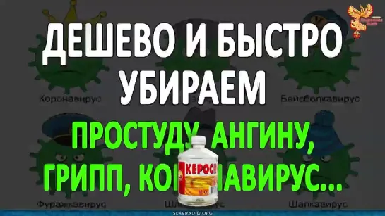 Убираем простуду, ангину, грипп, КАКОЙТОвирус... / Алексей Орлов