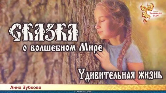 Анна Зубкова - Сказка о Волшебном Мире. Глава 3. Удивительная жизнь (Читает Кристина Дикова)