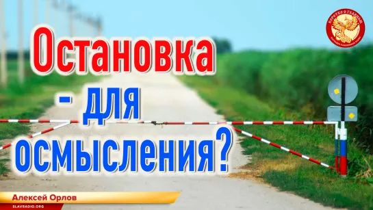 Остановка — для осмысления. Алексей Орлов