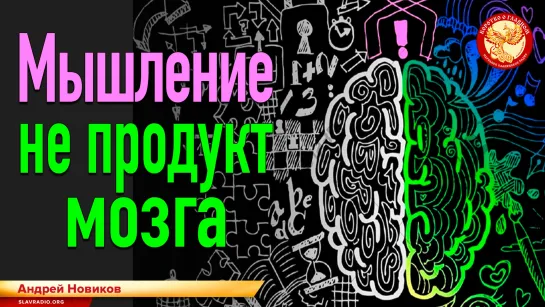 Мышление не продукт мозга. Андрей Новиков