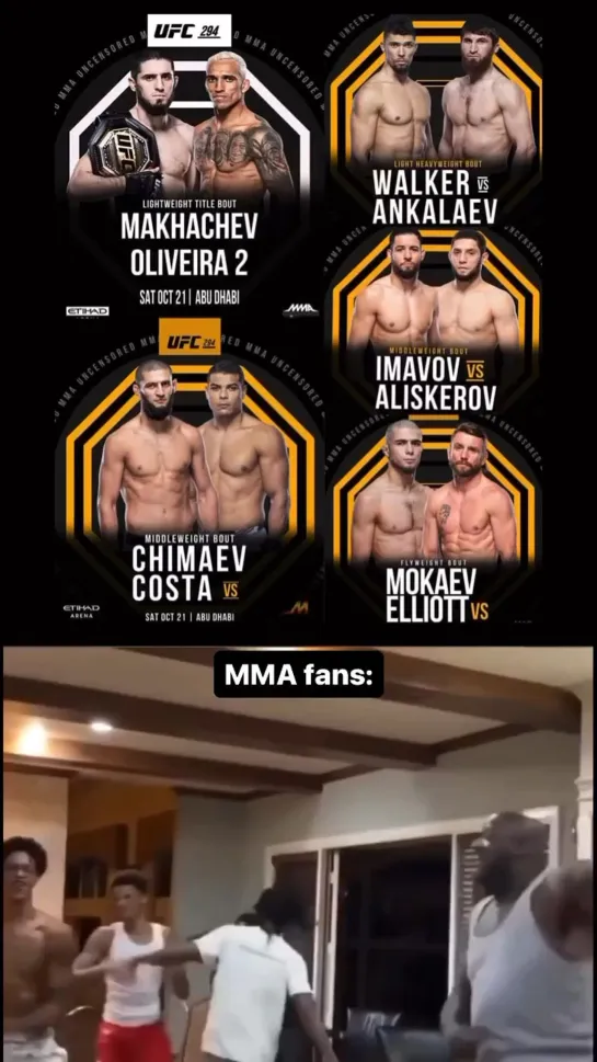 В ожидании UFC 294.