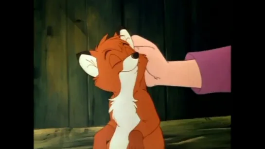 The Fox and the Hound