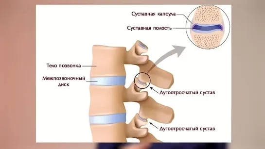 Активное долголетие. Упражнения для всех групп мышц, позвоночника, суставов и внутренних органов. Фрагмент записи