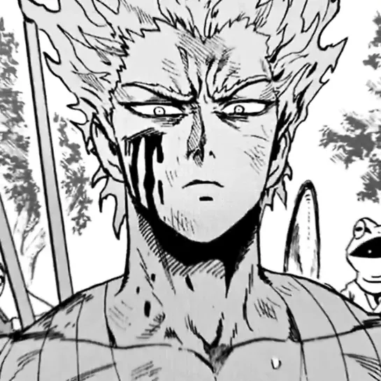 ▹ one punch man; garou