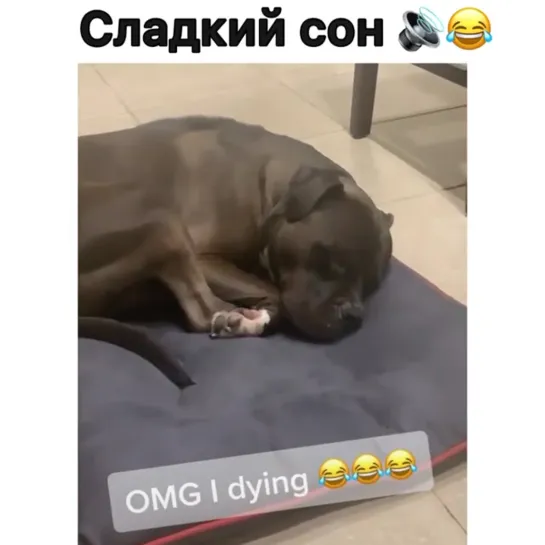 Звук🔊🤣😂