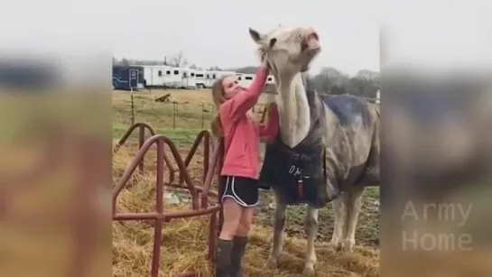 ПРИКОЛЫ  ржака до слез угар прикол - ПРИКОЛЮХА