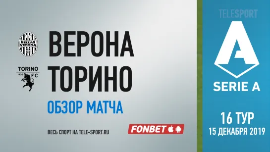 «Верона» — «Торино». Обзор матча