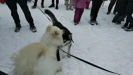 "Зимняя сказка" в Решетихе.