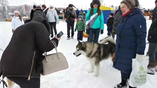 "Зимняя сказка" в Решетихе.