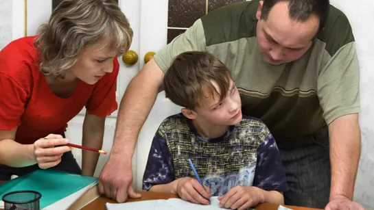 Треть родителей делают уроки вместе с детьми, а половина   за них