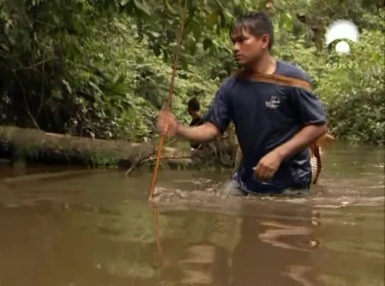 Amazonas (2 de 6)