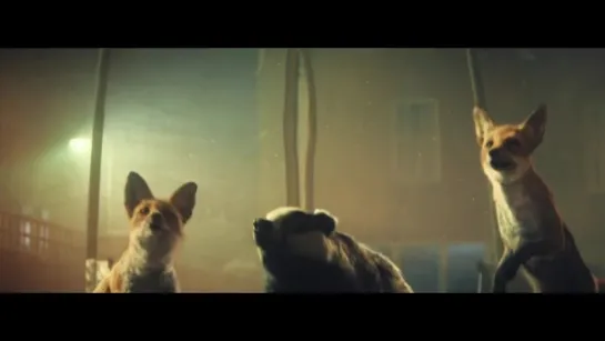 John Lewis Christmas Advert 2016 - #BusterTheBoxer