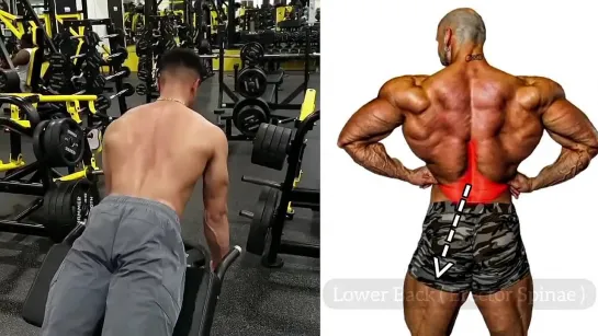 Top 4 Upper Middle and Lower Back workout - Back