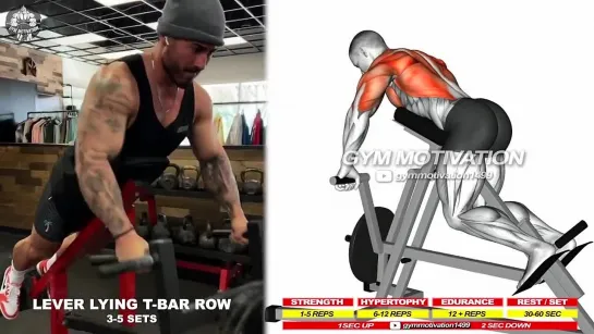 7 Fastest Big Back Exercises for You