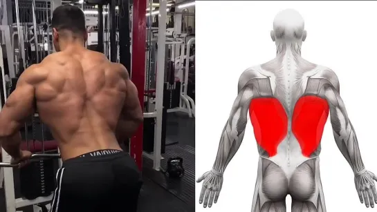 6 Best Workout To Build Bigger Back _ Back Workout _ افضل تمارين الظهر