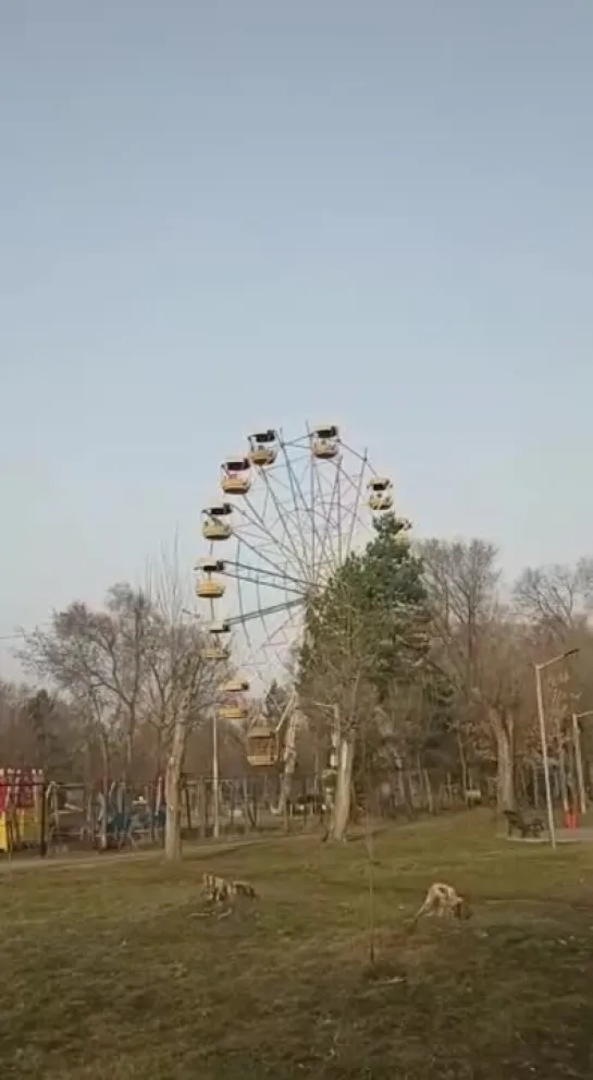 Видео от Московский Комсомолец (МК)