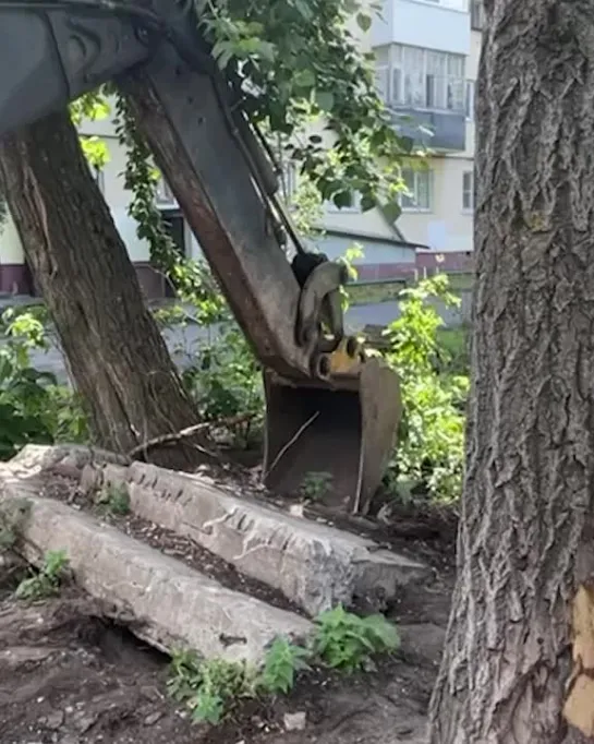 Как гоняли крыс во дворе на Выучейского