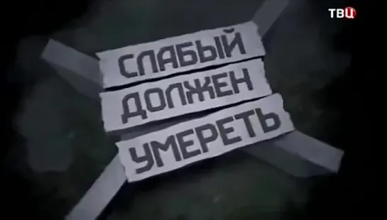 Слабый должен умереть ?