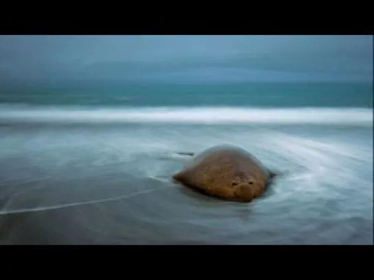 Лучшие фотографии от National Geographic