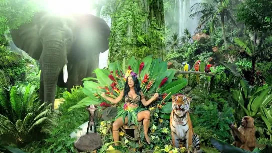 Katy Perry - Roar