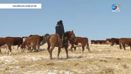 Спецрепортаж. Забайкальcкий край стратегия развития региона - 2018