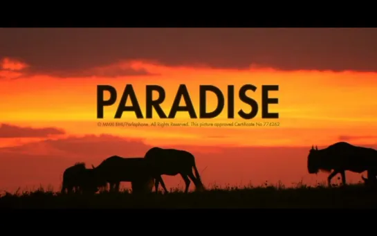 Coldplay - Paradise